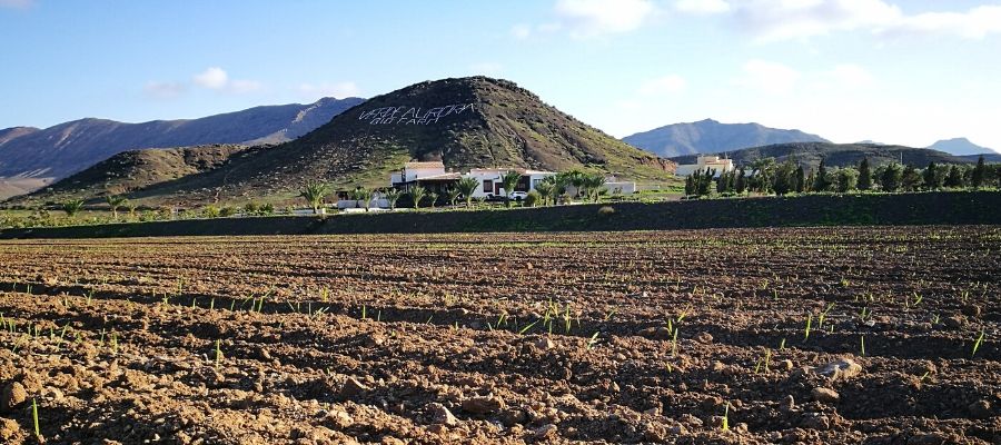 Entorno Verdeaurora Bio Farm